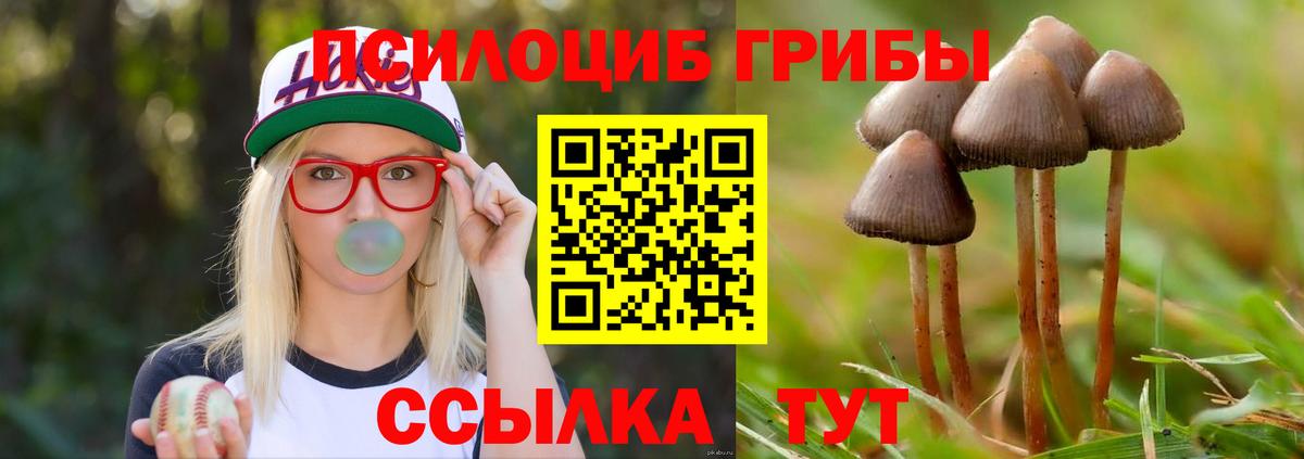 Галлюциногенные грибы Psilocybe Семёнов